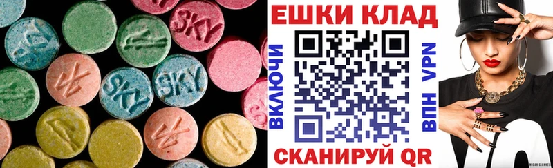 Купить  Кстово  Ecstasy Punisher 