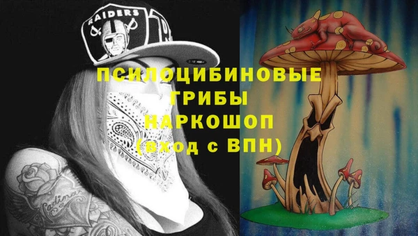 гидра Баксан