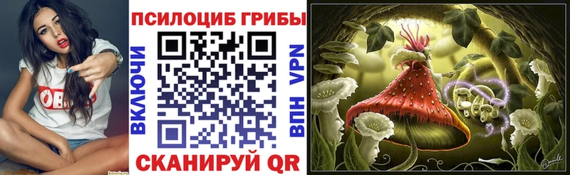 Купить  Кстово  Галлюциногенные грибы ЛСД 
